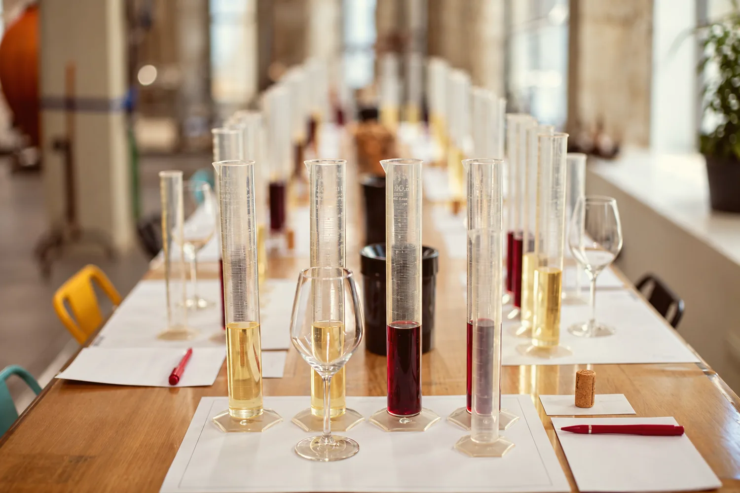 Éprouvettes graduées de vin rouge et de vin blanc, verres et feuilles de notes alignés sur une longue table d'atelier